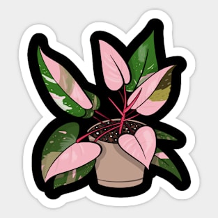 Pink Princess Philodendron Houseplant Plant Lover Sticker